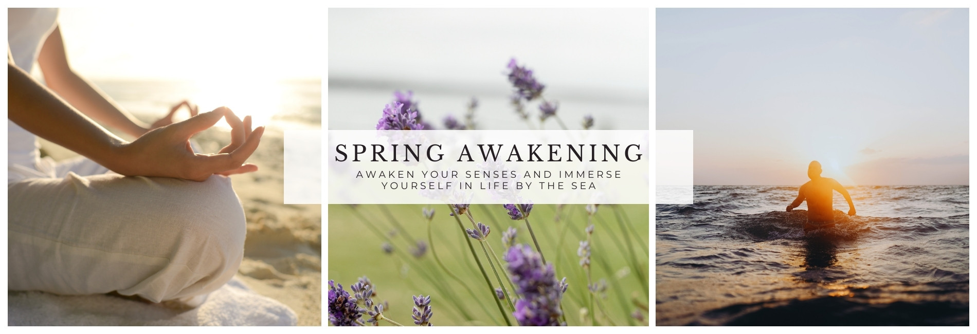 Spring awakening banner xpx www.armadahotel.com_v2
