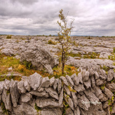 Theburren n www.armadahotel.com_v2